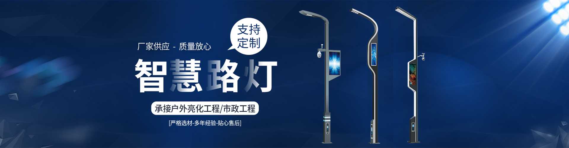 越秀区太阳能路灯定制厂家